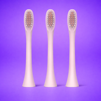 The Brush That Changes Your Smile