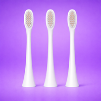 The Brush That Changes Your Smile